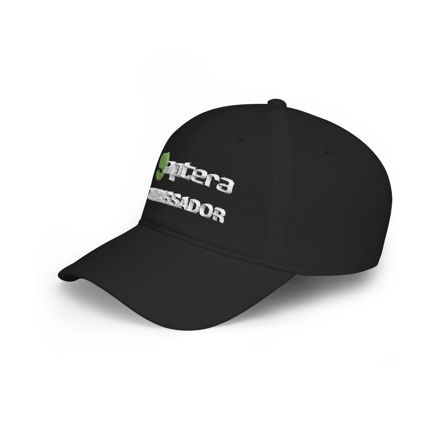 Black Ambassador Cap