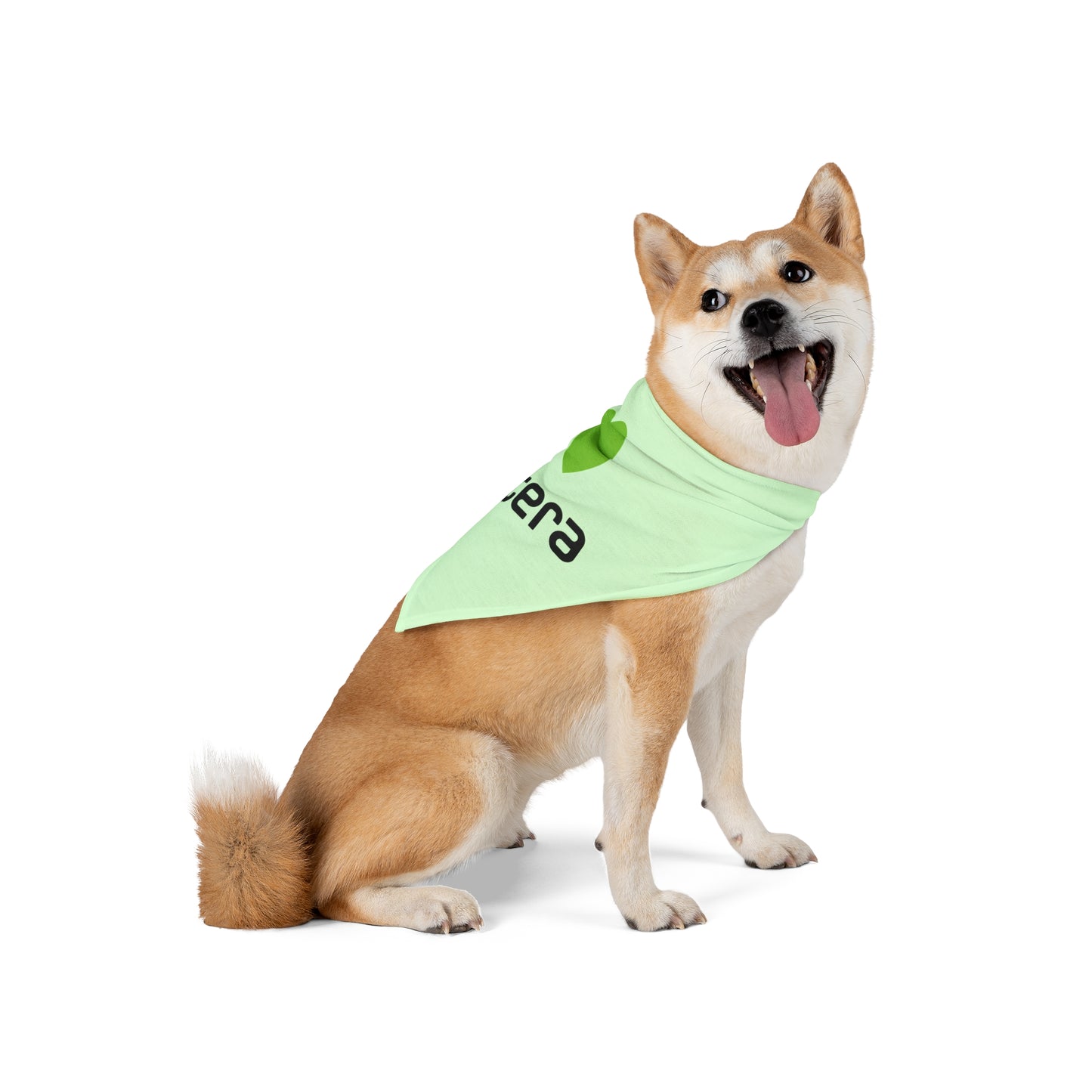 Aptera Pet Bandana