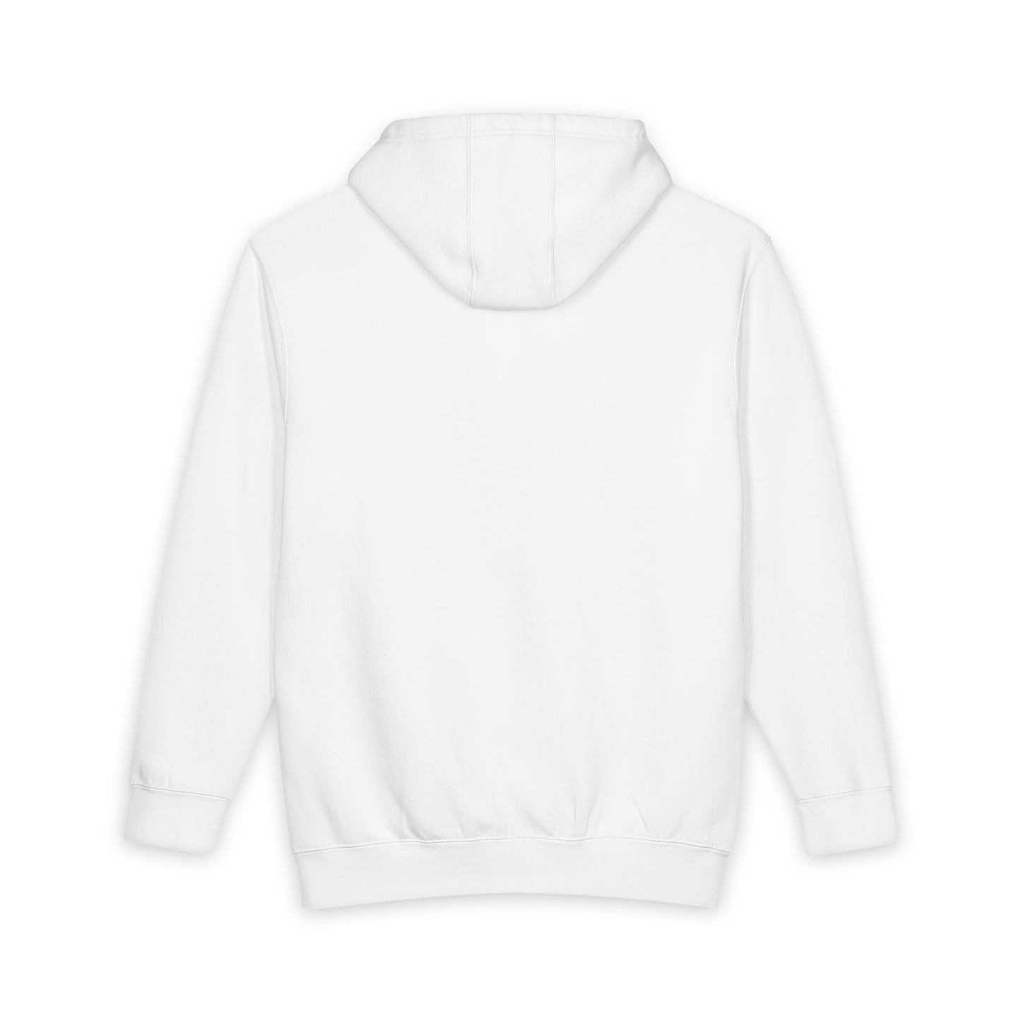 Earth Logo Hoodie