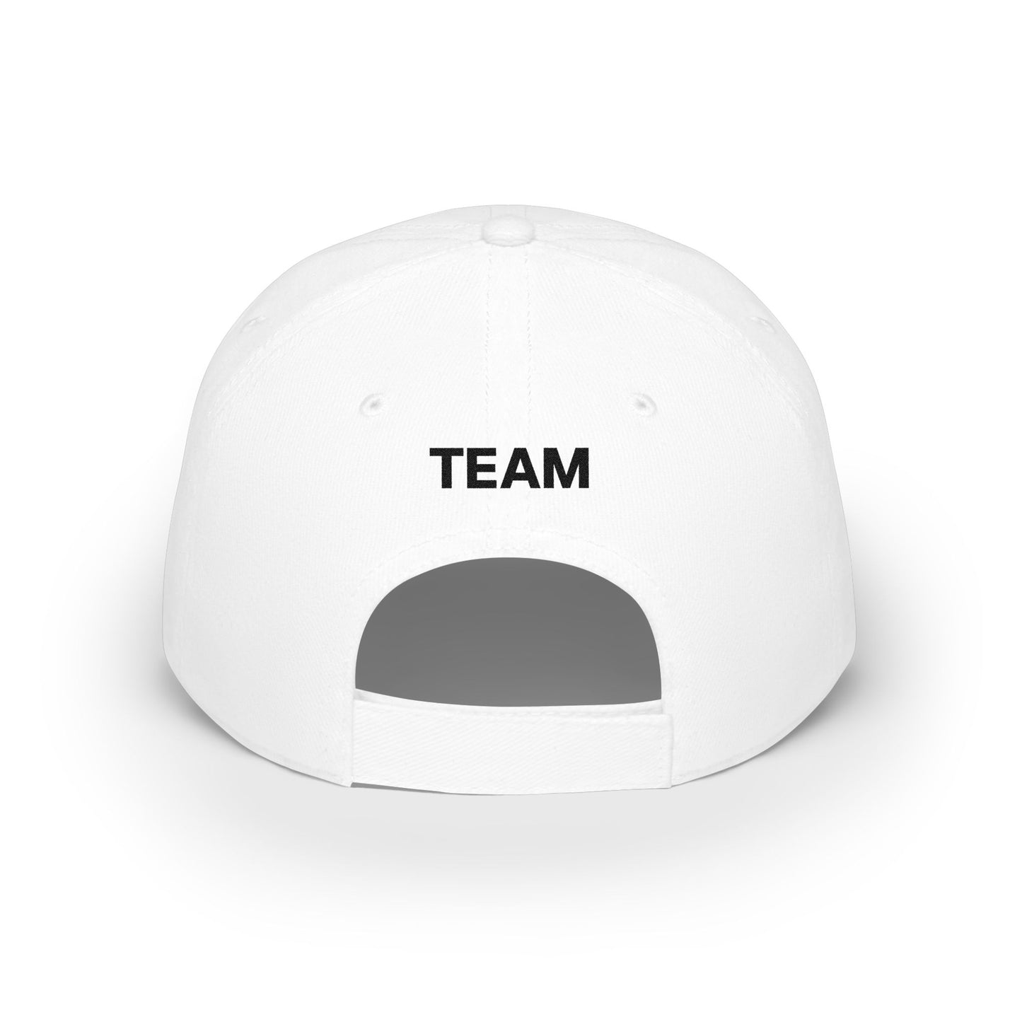 Aptera Team Hat